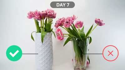 Double The Life Of Your Flowers In Just 30 Seconds With This Genius New Vase