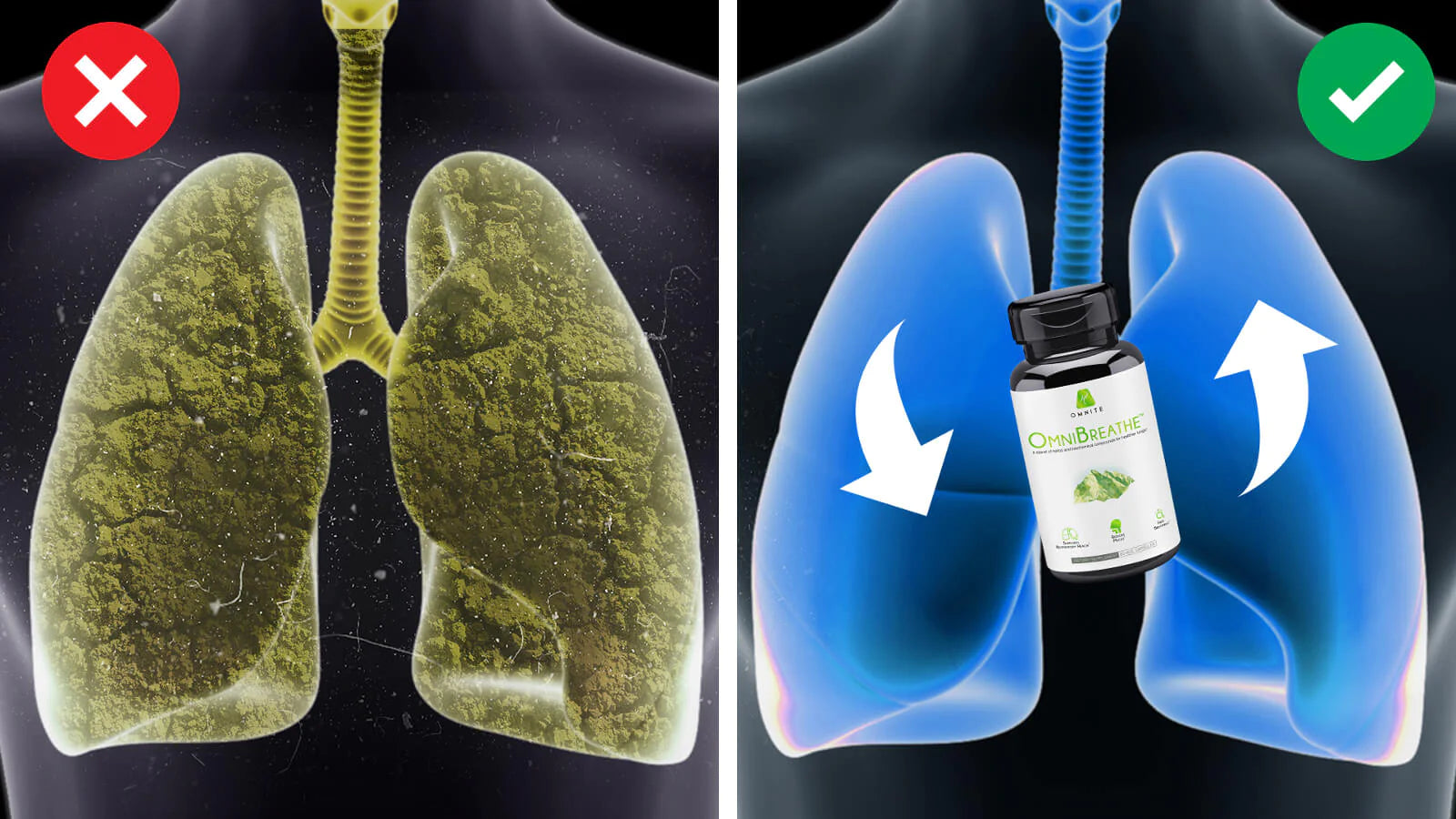 This New All Natural "Miracle Lung Cleanser" Can Help You Easily & Quickly Quit Smoking For Good