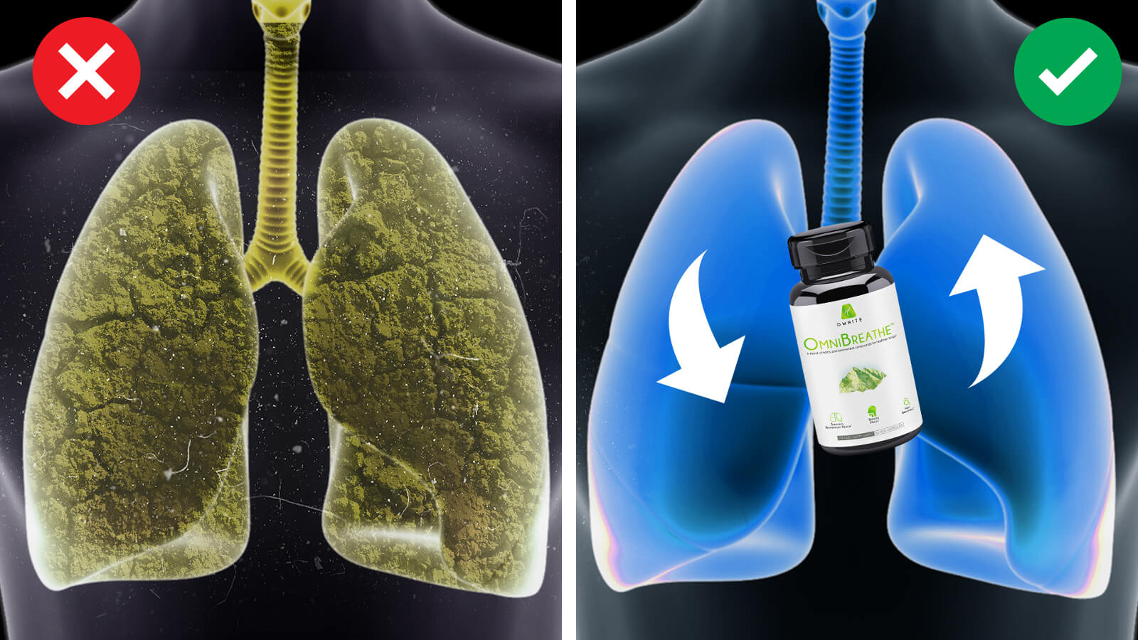 This 2,000 Year Old Natural Remedy Cleanses The Lungs & Improves Breathing — In As Little As 3 Days