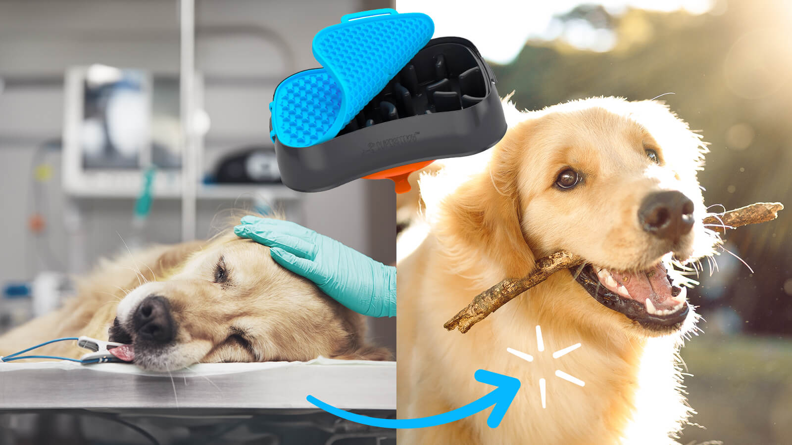 This New “Puzzle Bowl” Could Save Your Dog’s Life – And Save You From $4,000+ In Veterinary Costs!